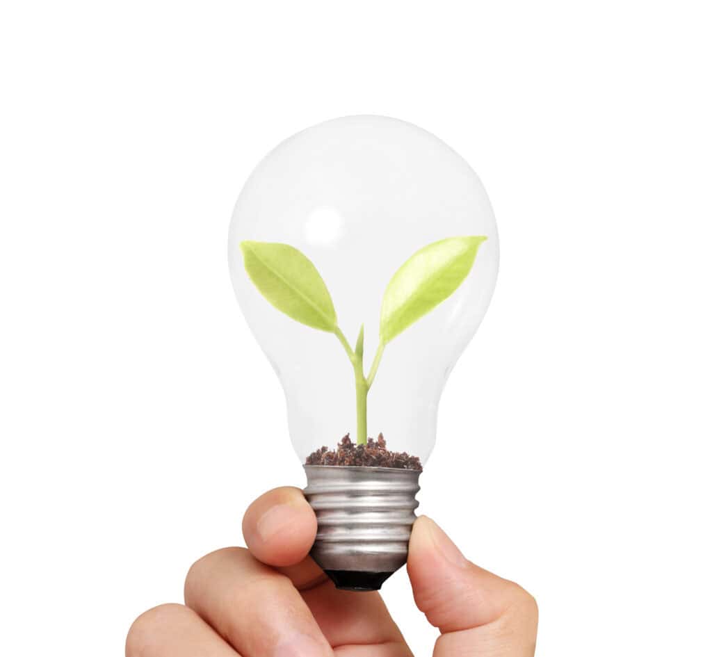 Hand holding light bulb with young green plant, green energy concept