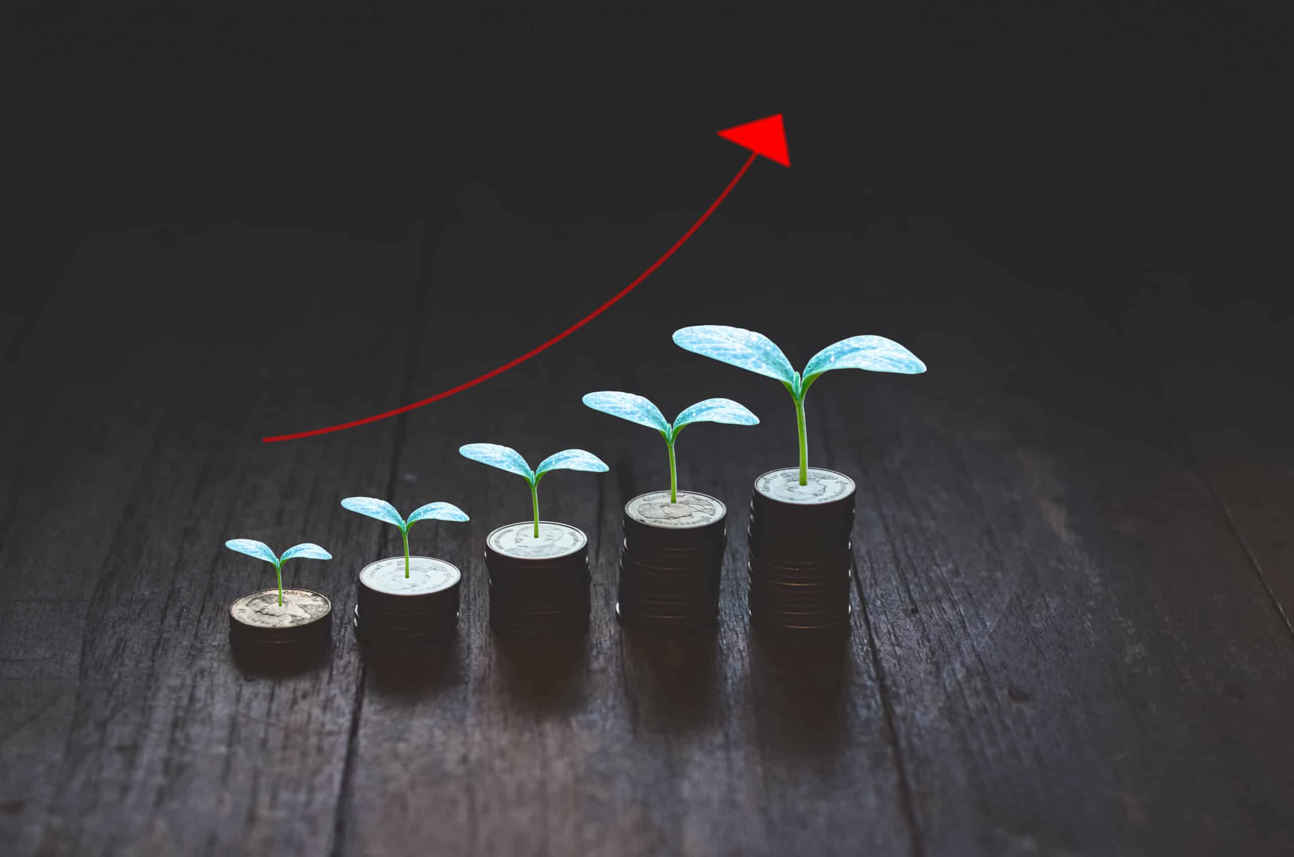Plants placed in an order to show growth.