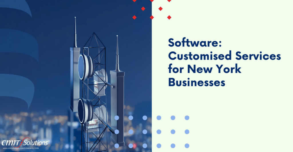 Software: Customized Services for New York Businesses