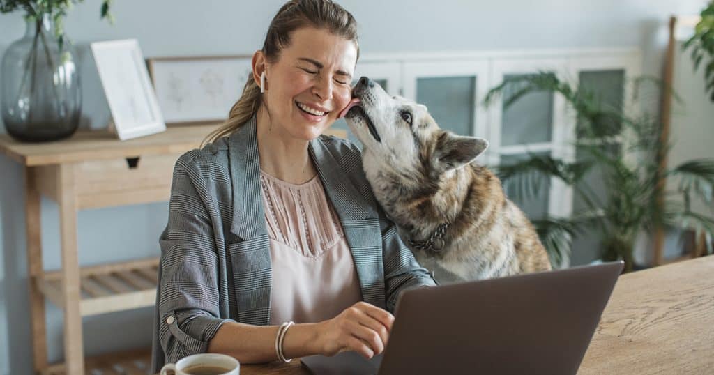 Remote worker on her laptop while dog licks her face
