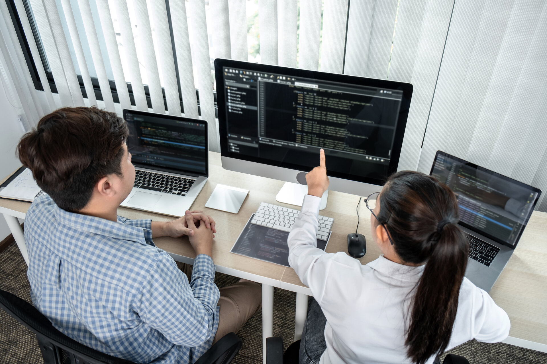 team of two professional programmers working on software